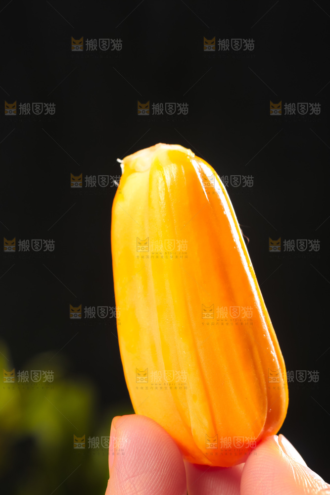 手里拿着新鲜菠萝蜜