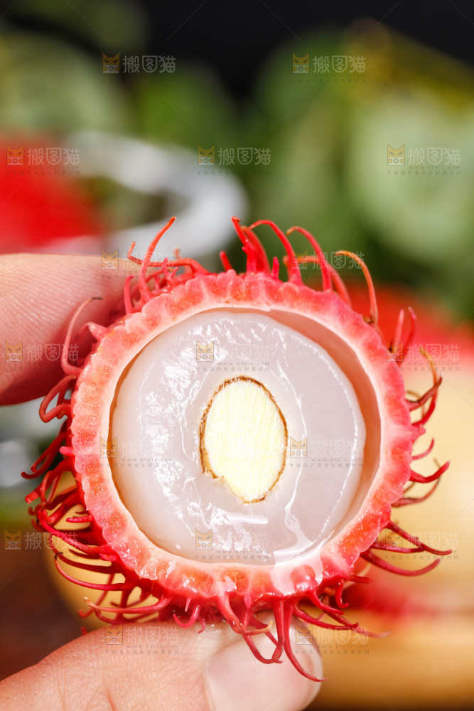 手里拿着海南红毛丹