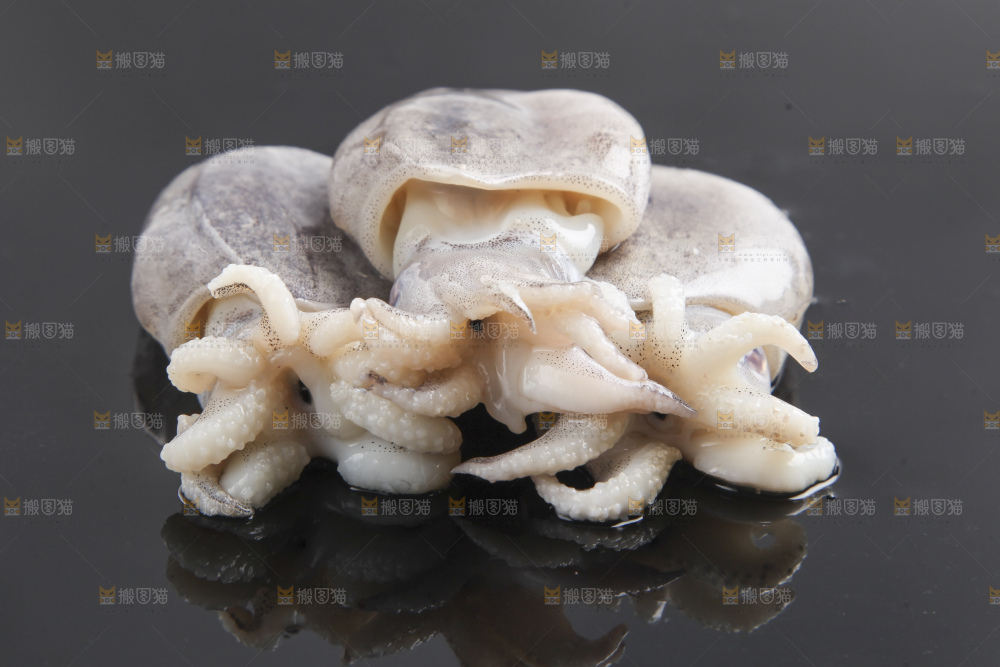 黑底上放着乌贼鱼