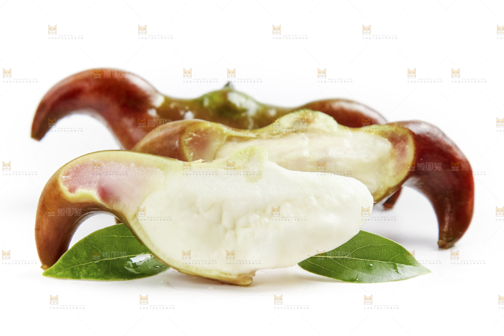 白底上的新鲜菱角