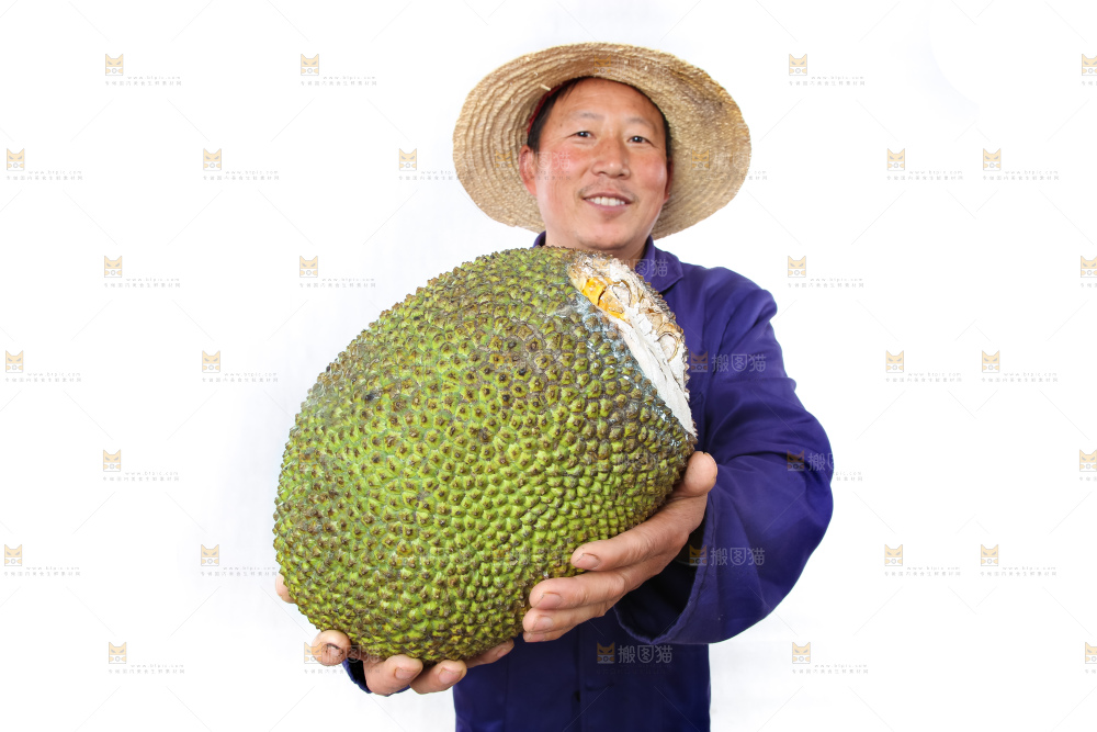 农民手里拿着菠萝蜜