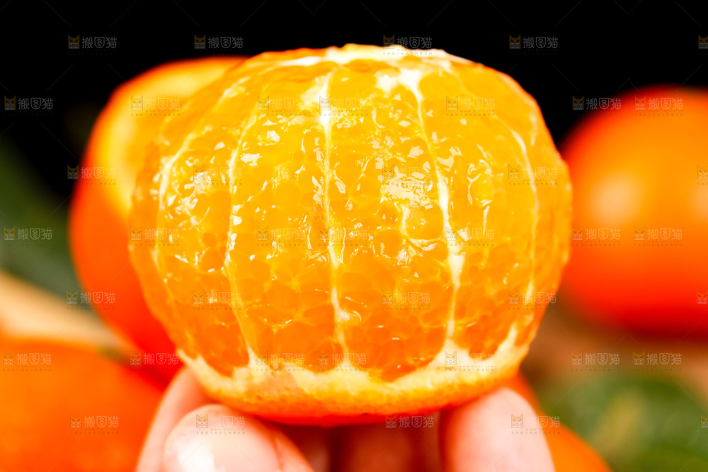 手里拿着新鲜沃柑