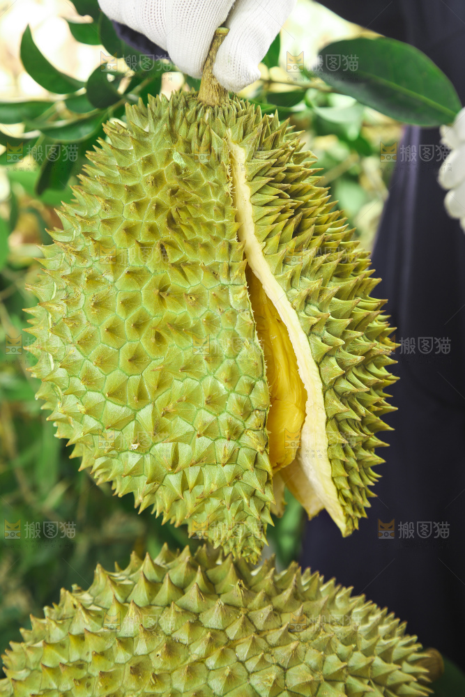 手里拿着新鲜榴莲