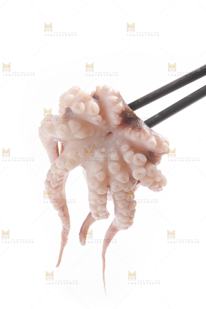 筷子上夹着八爪鱼