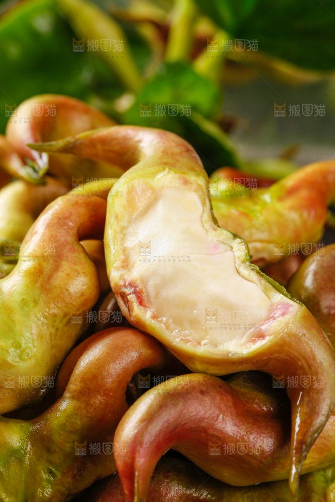 篮子里装着菱角