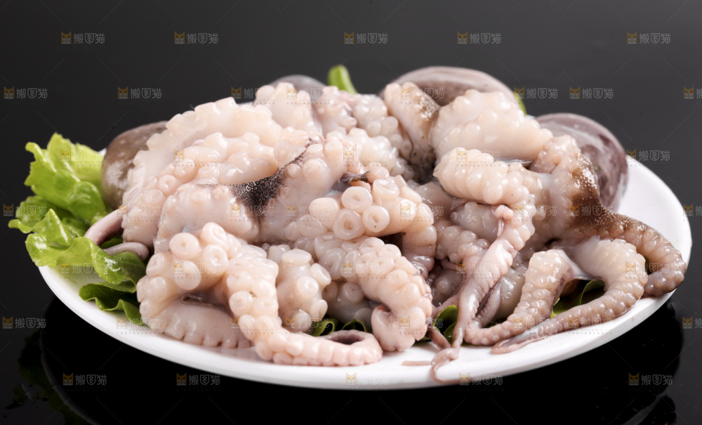 黑底上放着大连章鱼