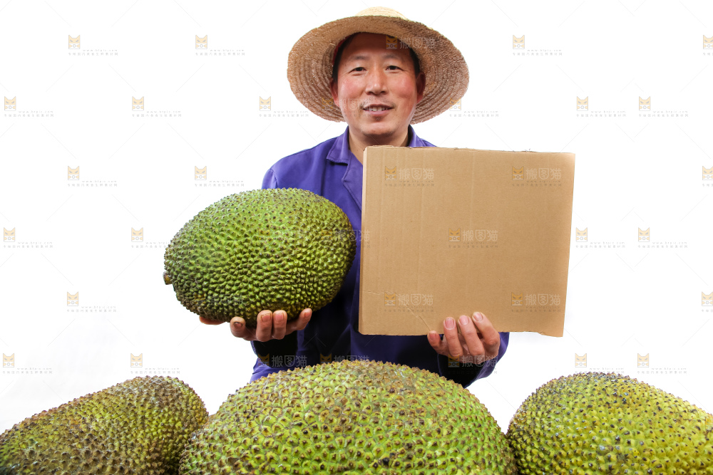 农民手里拿着菠萝蜜