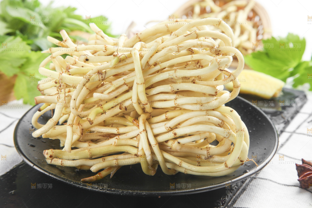 石板上的鱼腥草