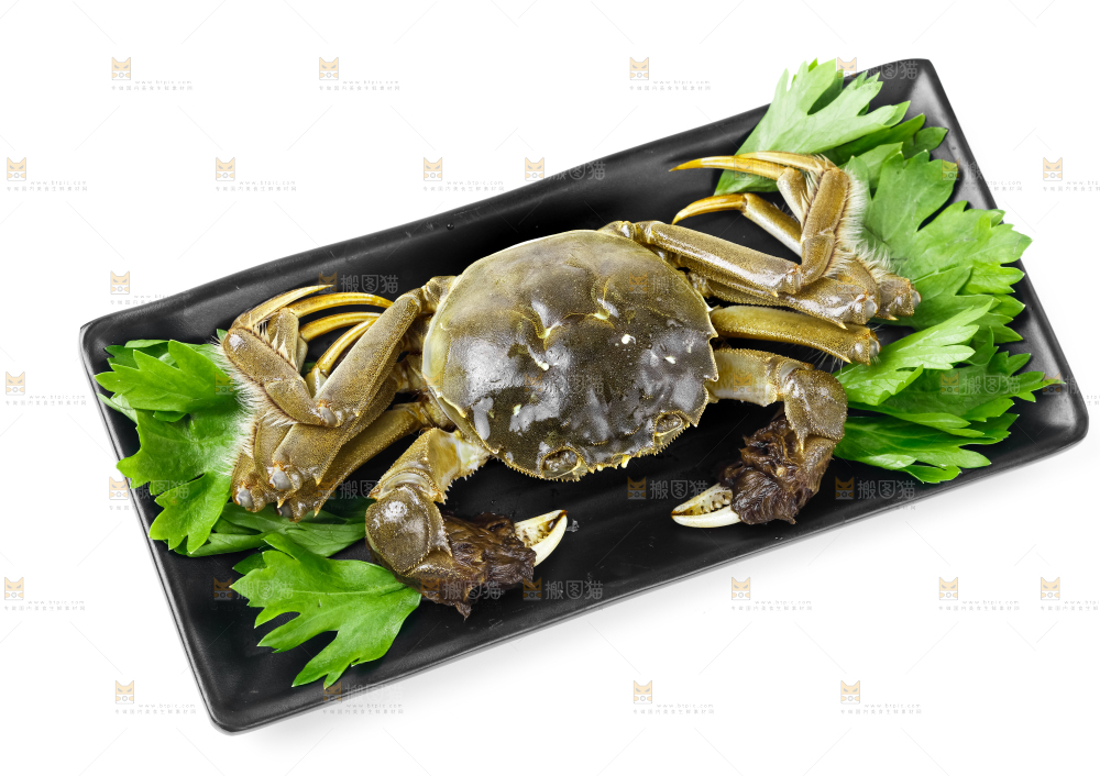 大闸蟹