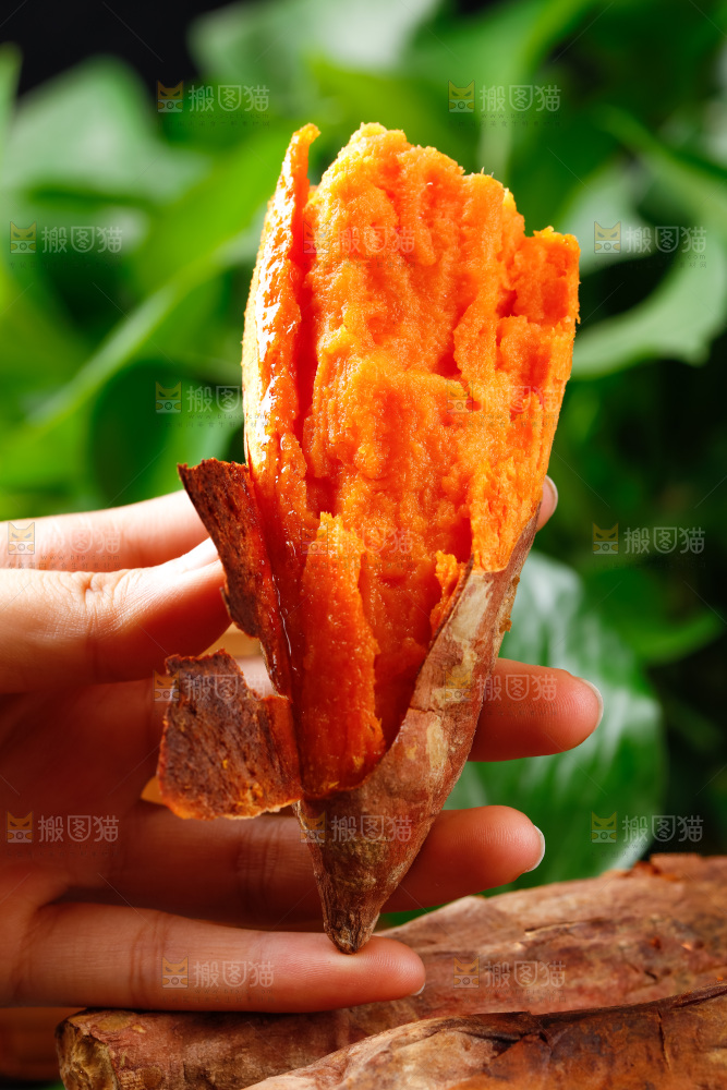 手里拿着红薯
