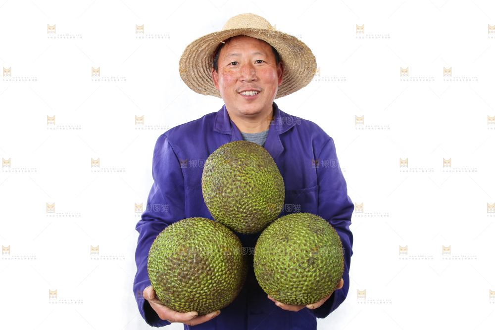 农民手里拿着菠萝蜜