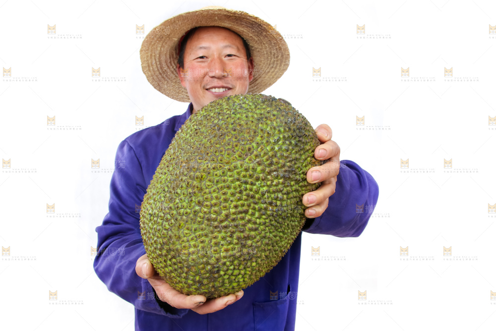 农民手里拿着菠萝蜜