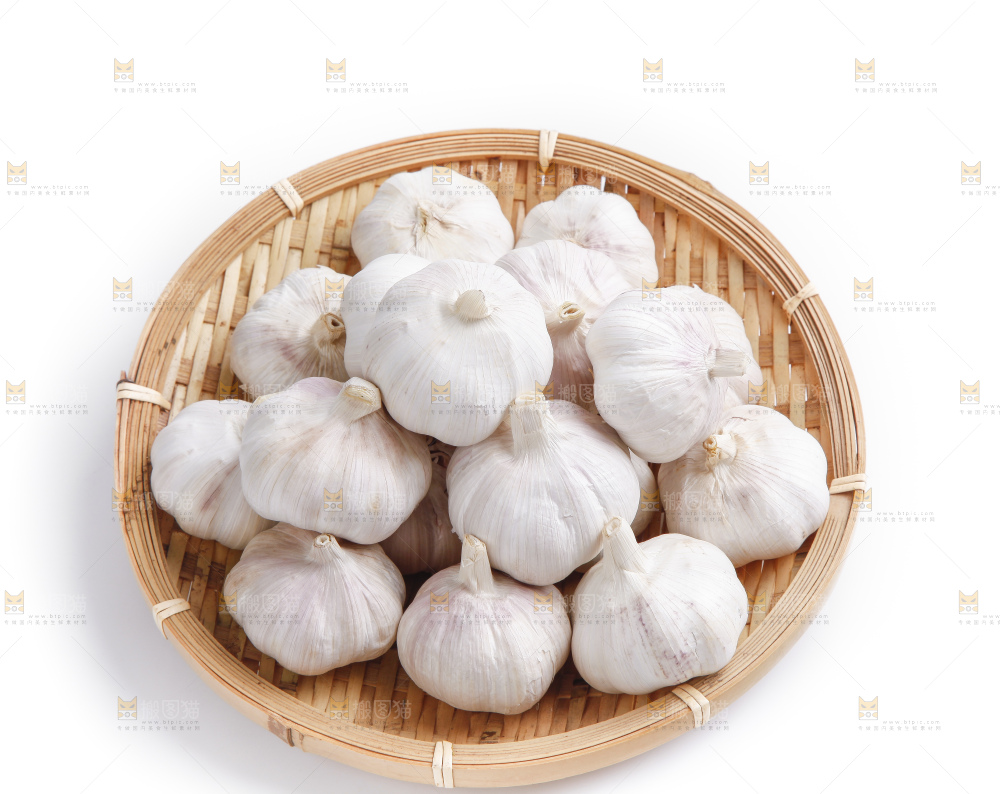 白底上的山东大蒜头