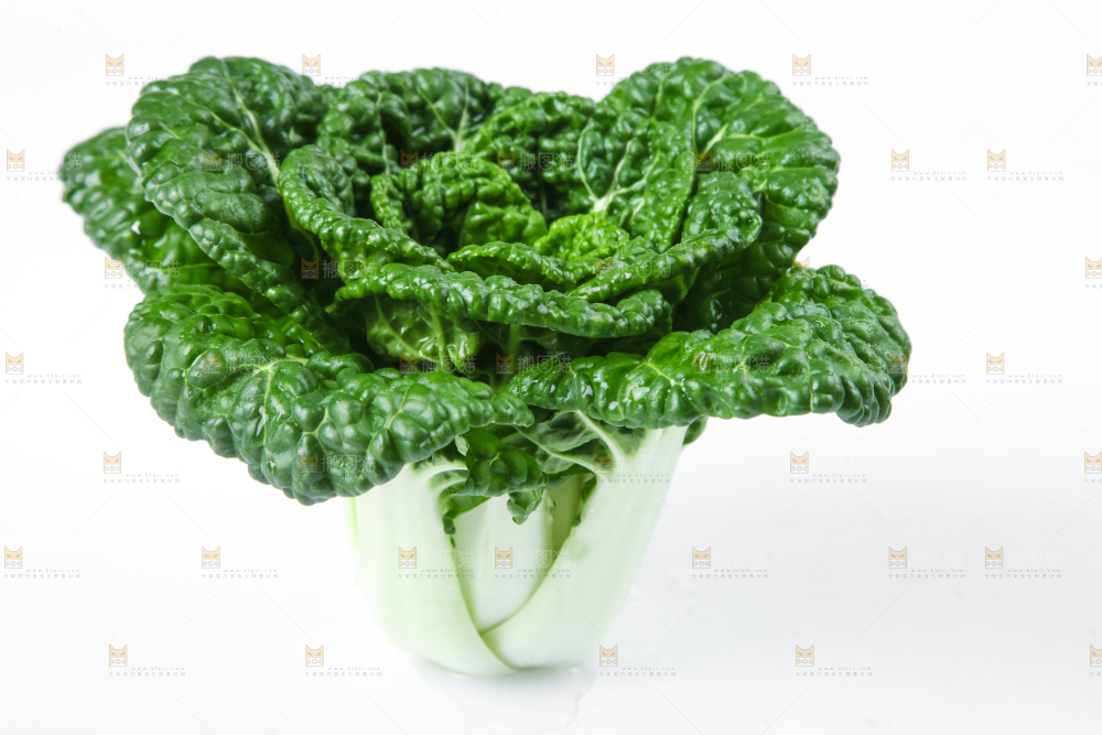 白底上放着奶油小白菜