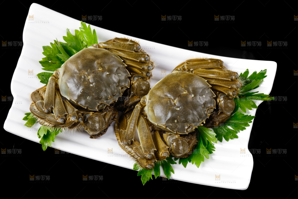 大闸蟹