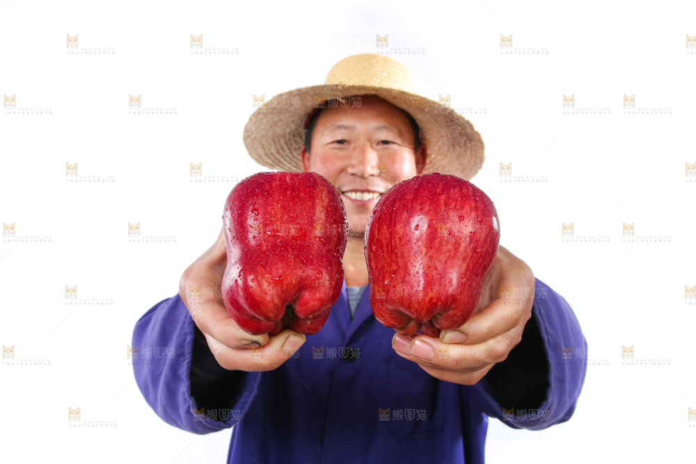 农民手里拿着天水花牛苹果