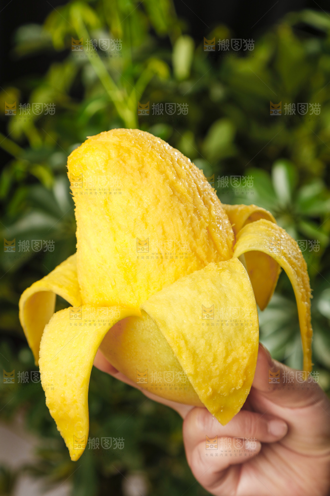 手里拿着新鲜高乐蜜