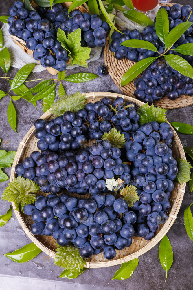 篮子里装着黑加仑葡萄