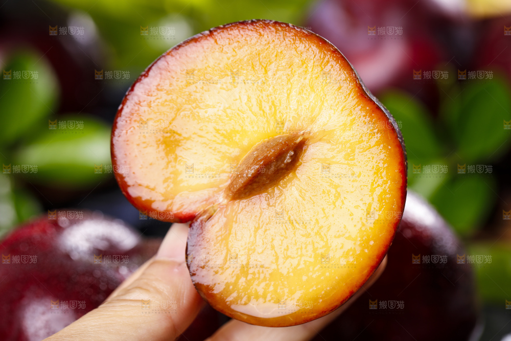 手里拿着黑布林