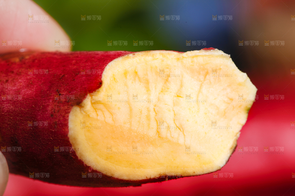 手里拿着小红薯
