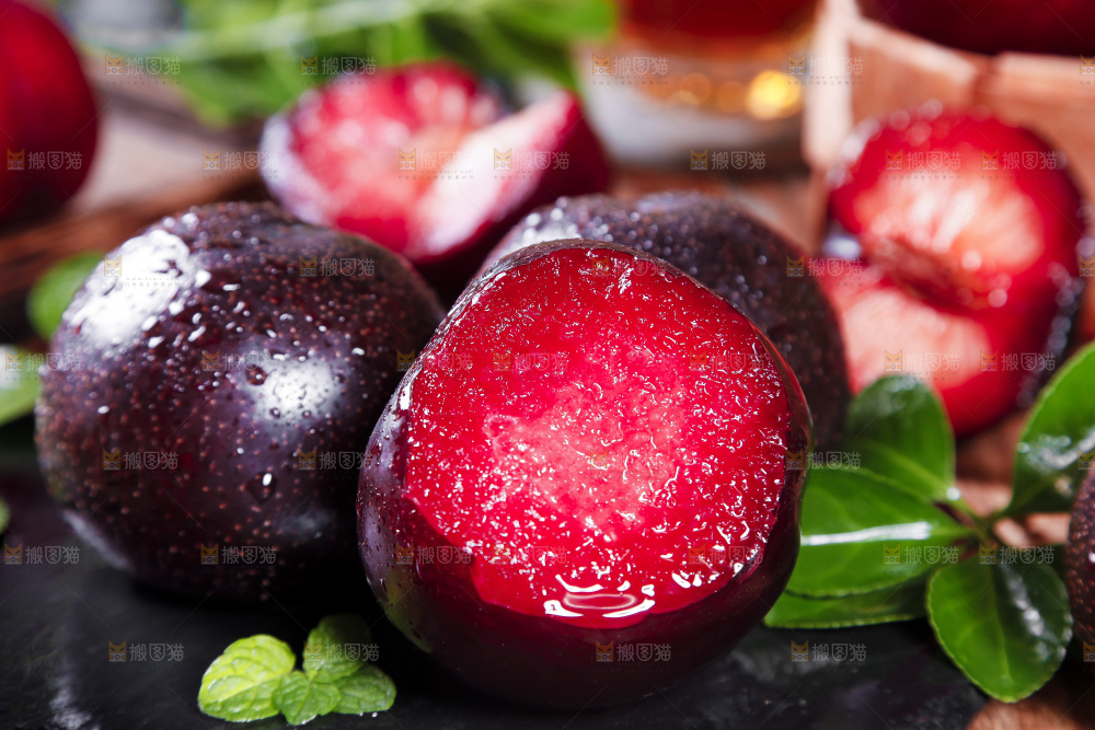 黑底上摆放着智利进口恐龙蛋