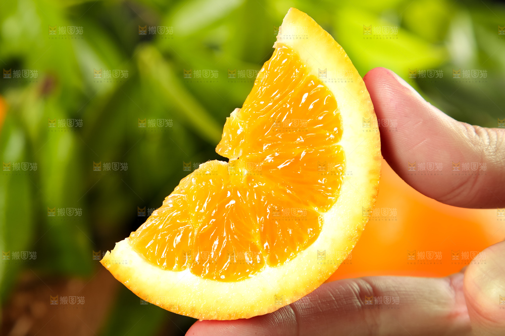 手里拿着一块橙子
