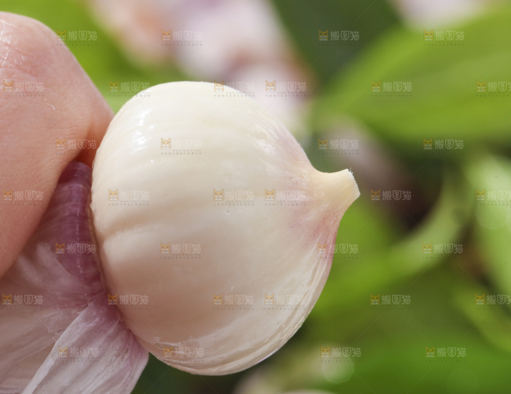 手里拿着独蒜头