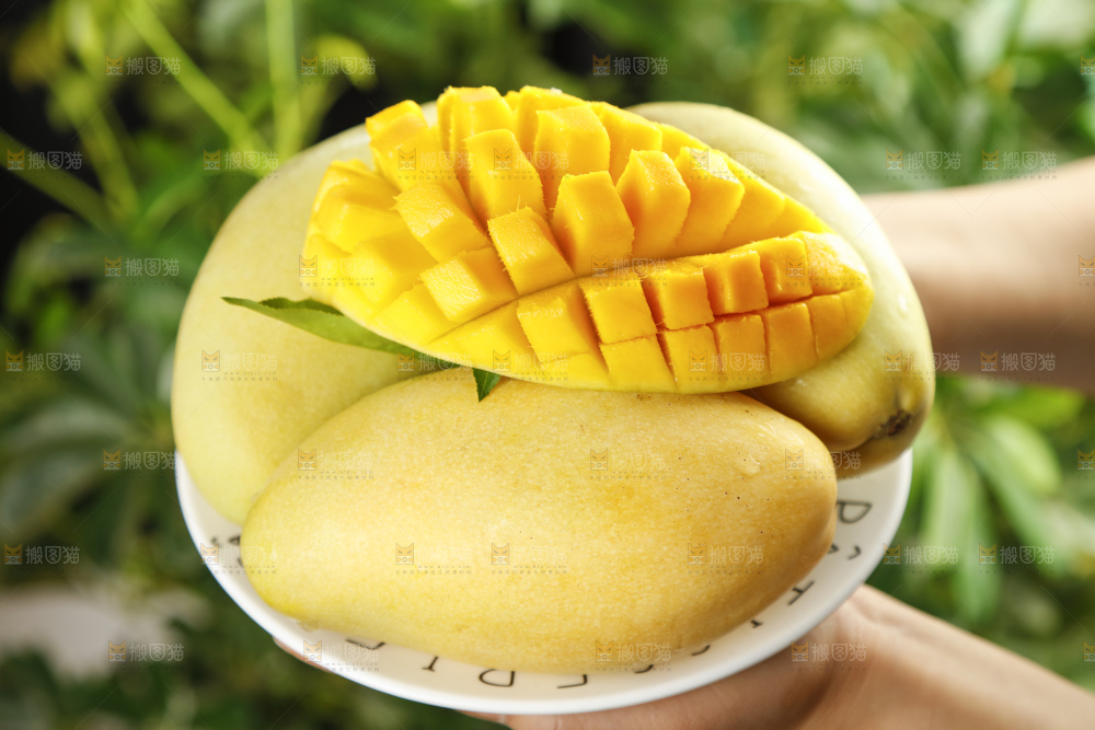 手里拿着一盘广西高乐蜜