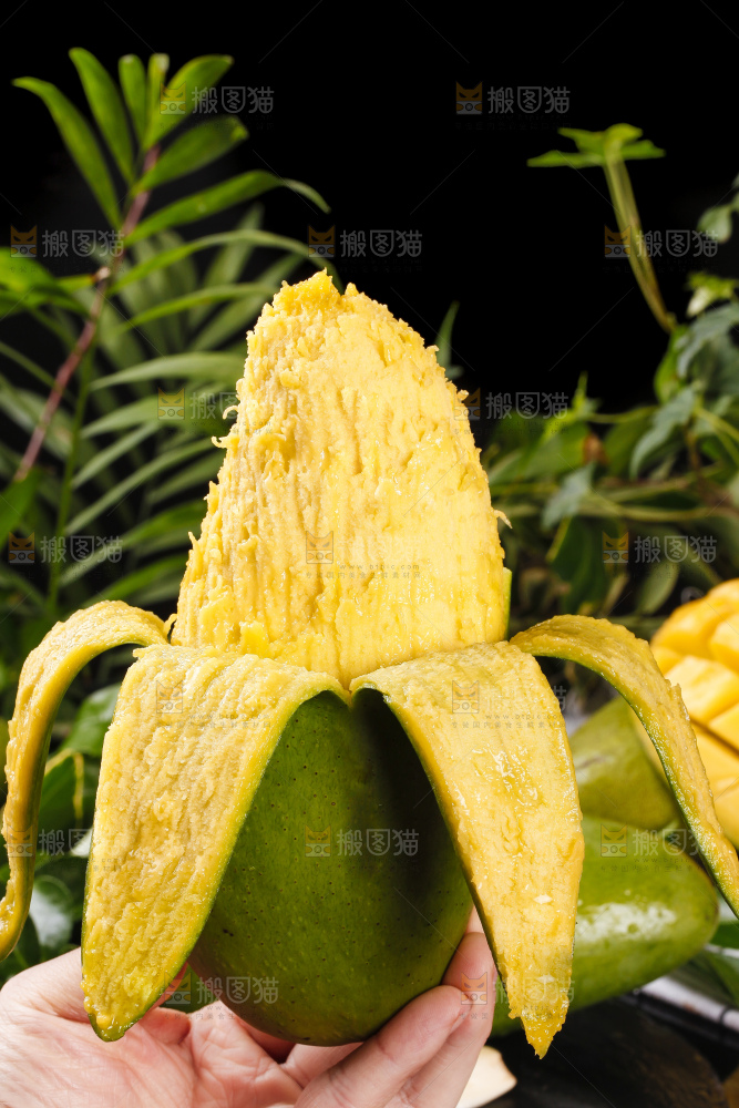 手里拿着剥开的青皮芒果