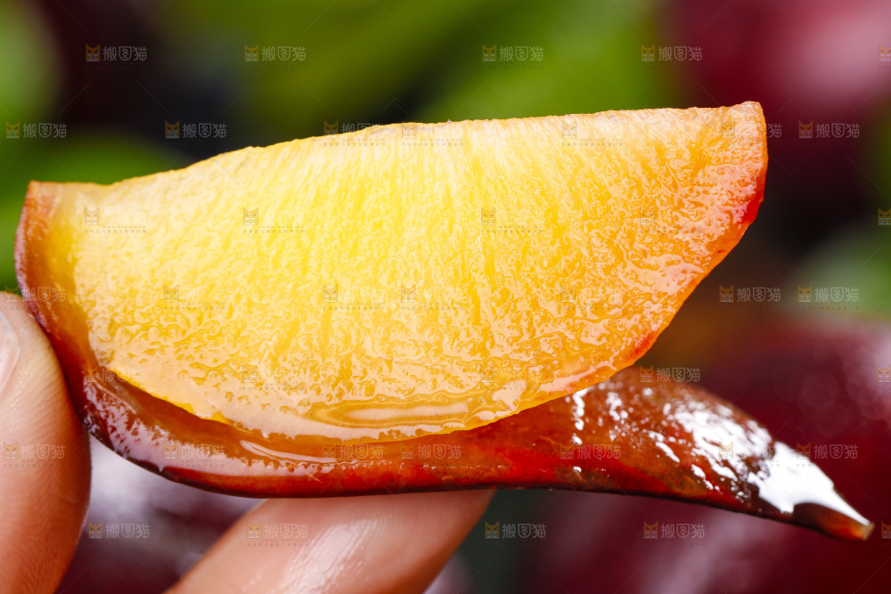 手里拿着黑布林
