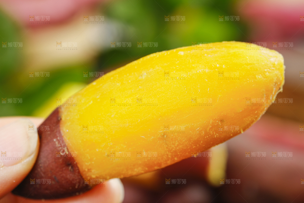 手里拿着小红薯