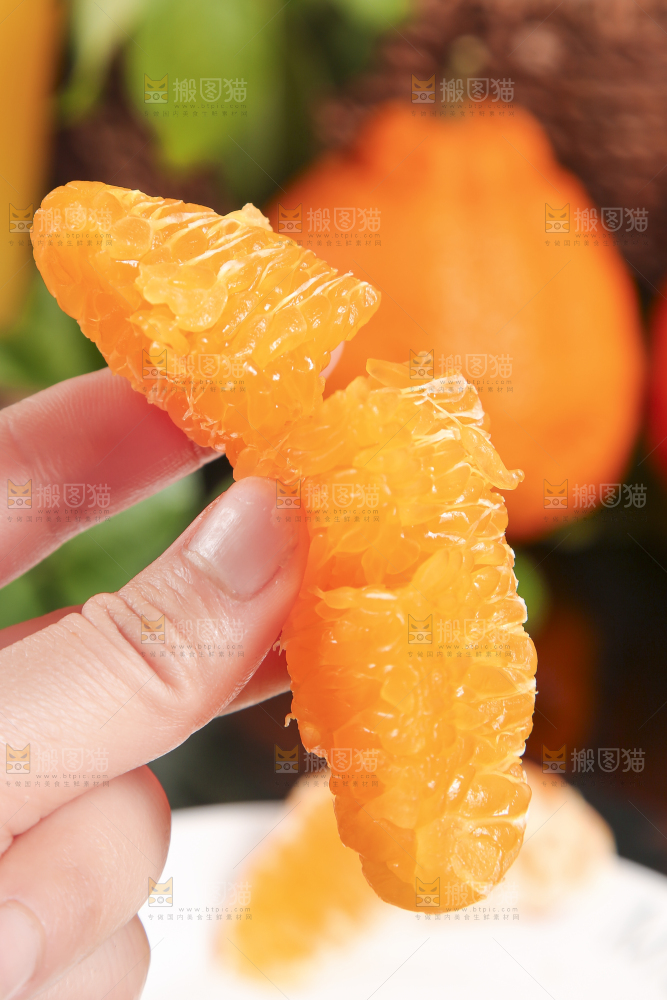 手里拿着丑橘的果肉