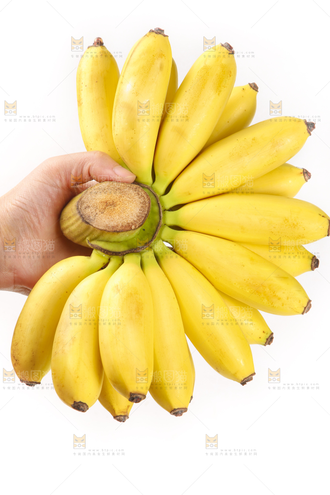 手里拿着新鲜小米蕉
