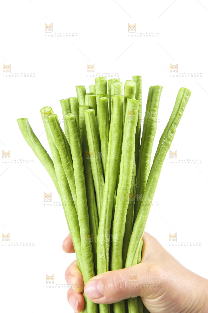 手里拿着嫩豆角
