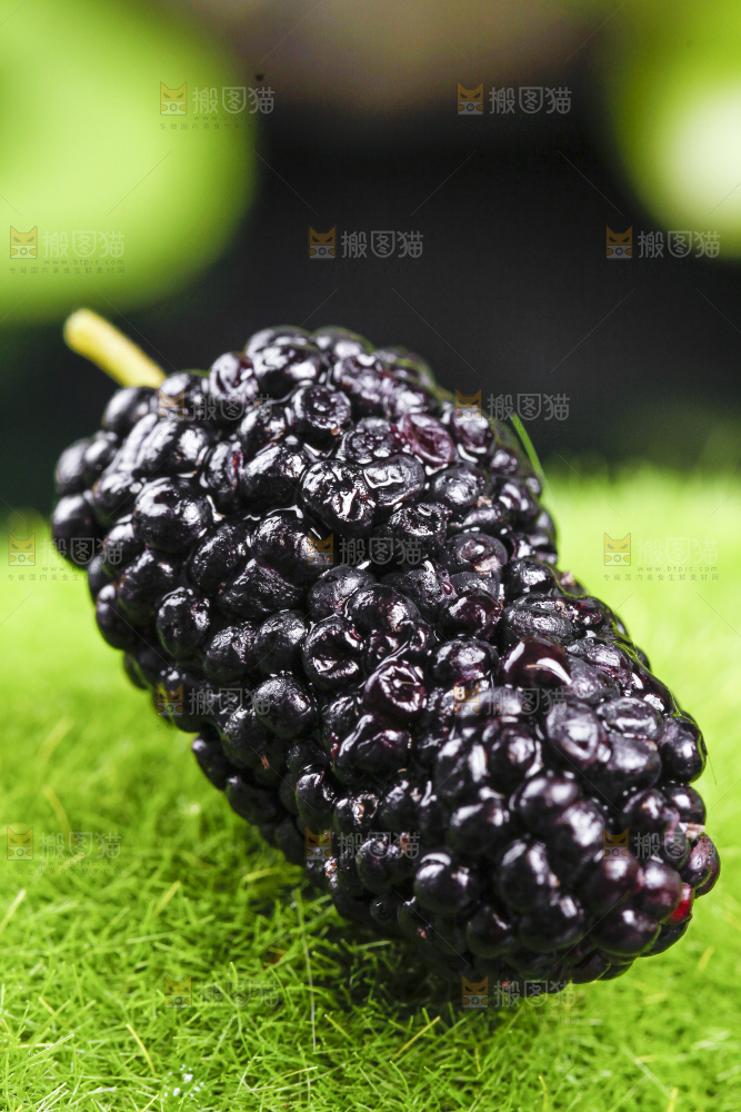 绿草地上摆放着桑葚