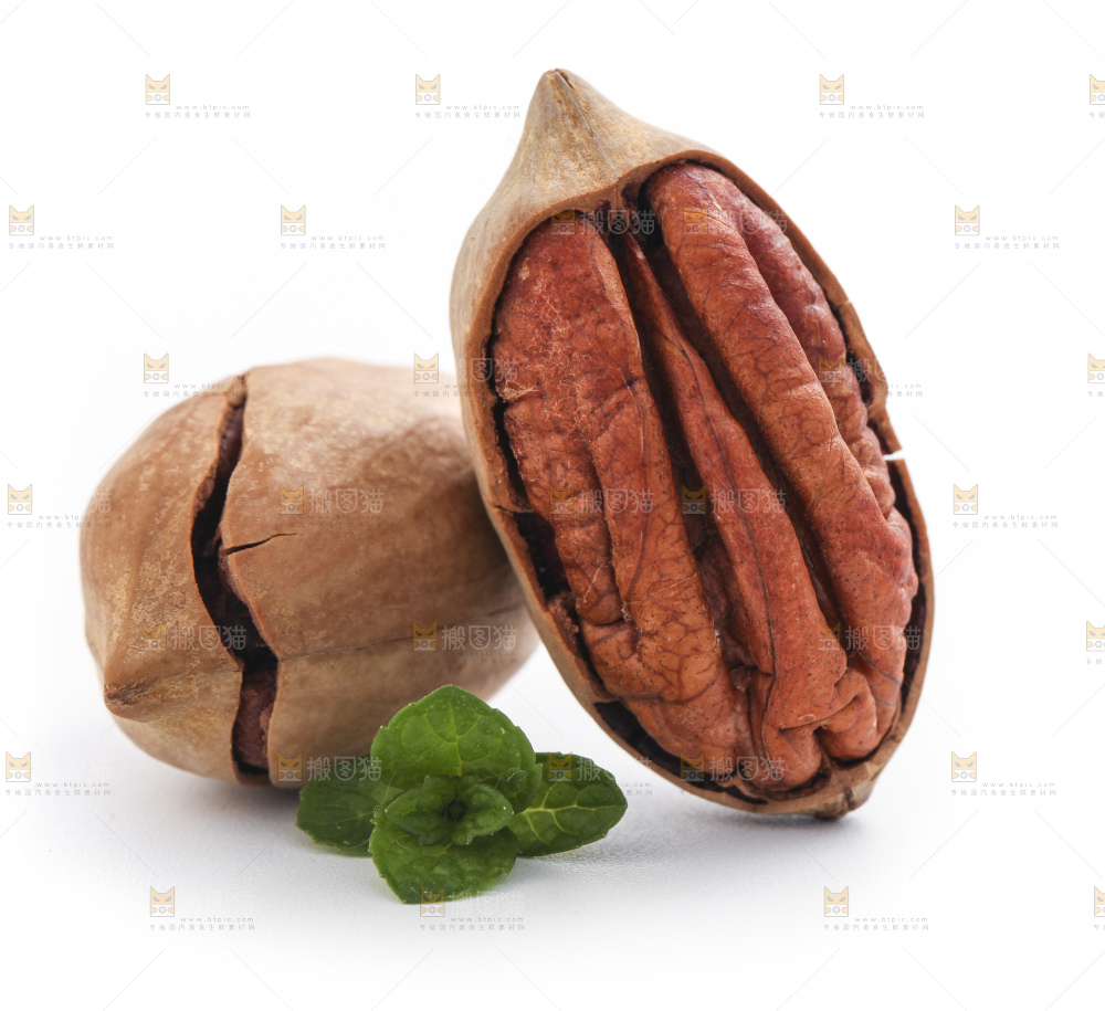 白底上的山核桃