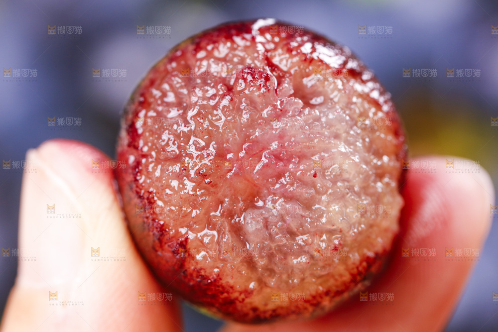 手里拿着紫葡萄