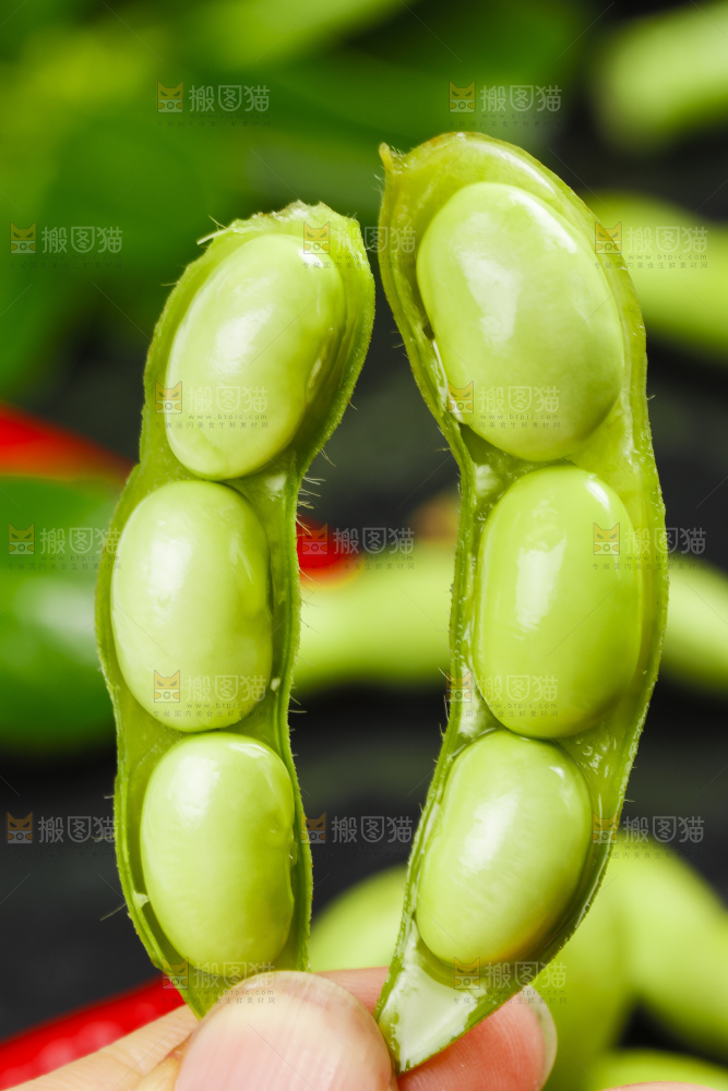 黑底上摆放着毛豆角