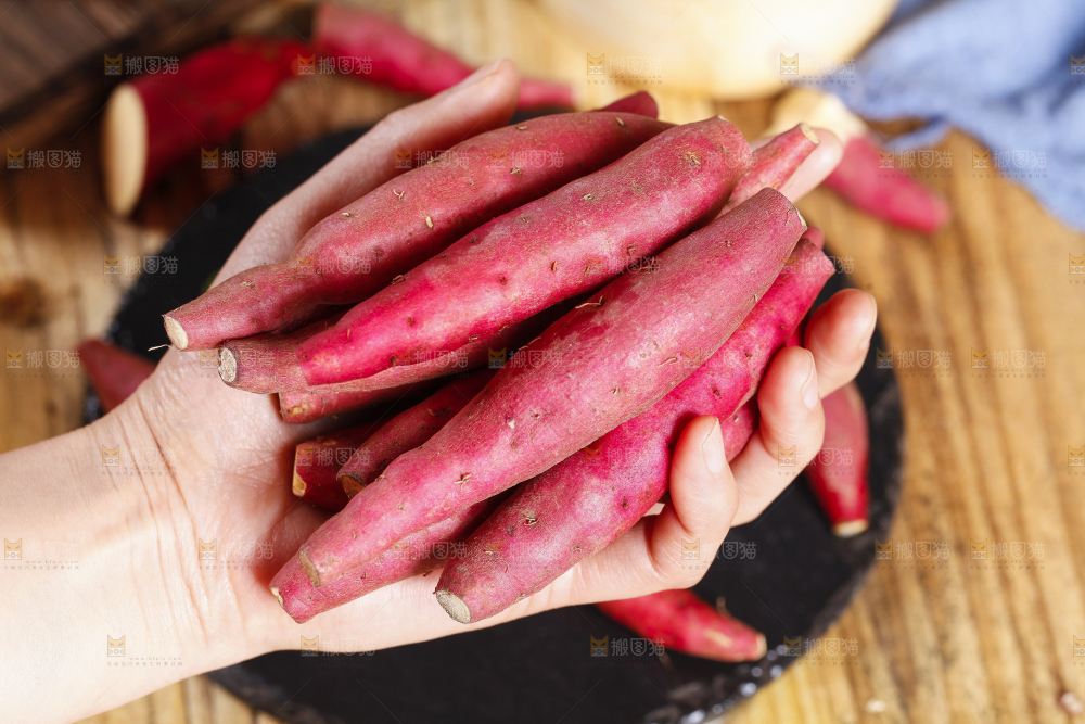 小香薯