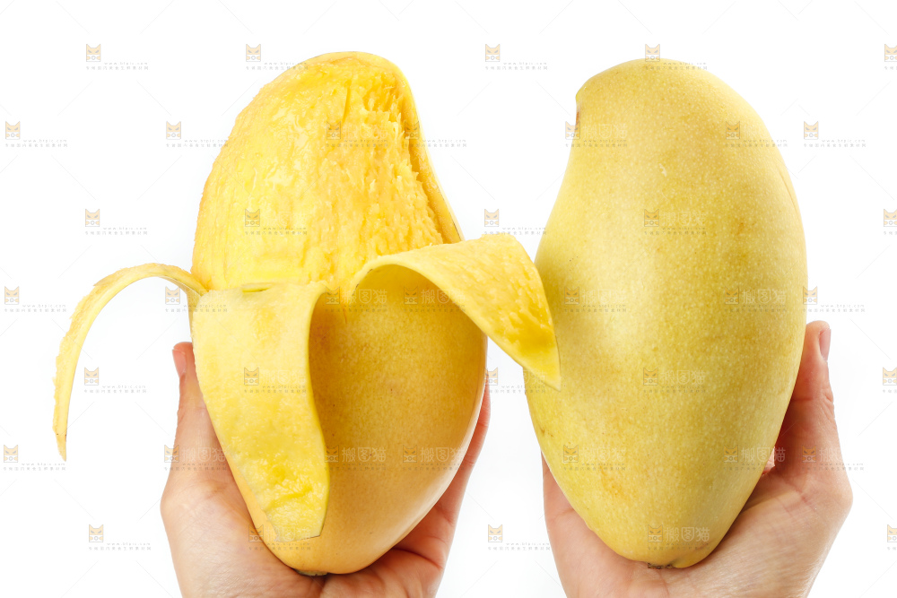 手里拿着甜心芒