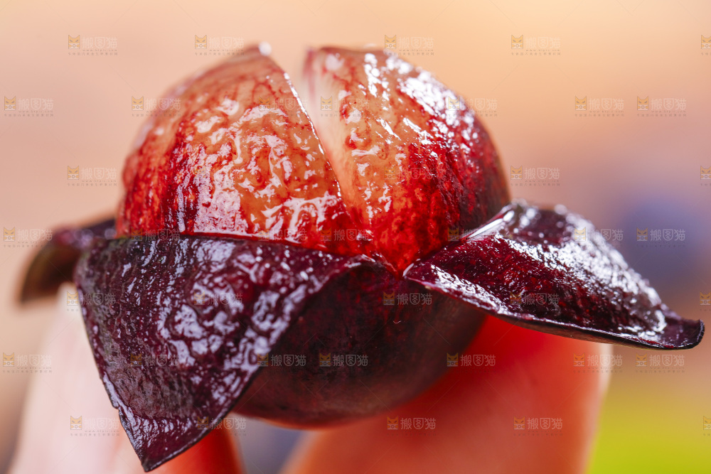 手里拿着夏黑葡萄