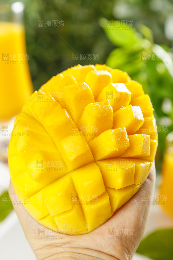 手里拿着水仙芒