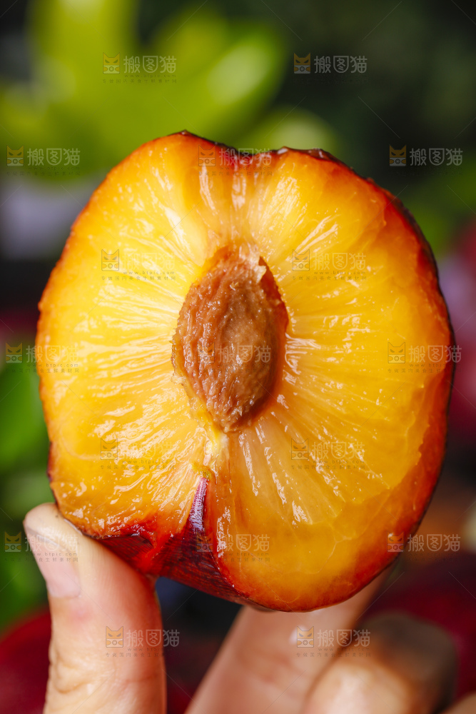 手里拿着黑布林