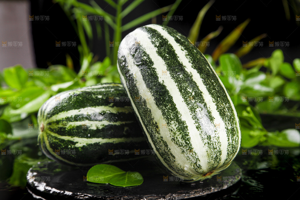 黑底上放着博洋9号甜瓜