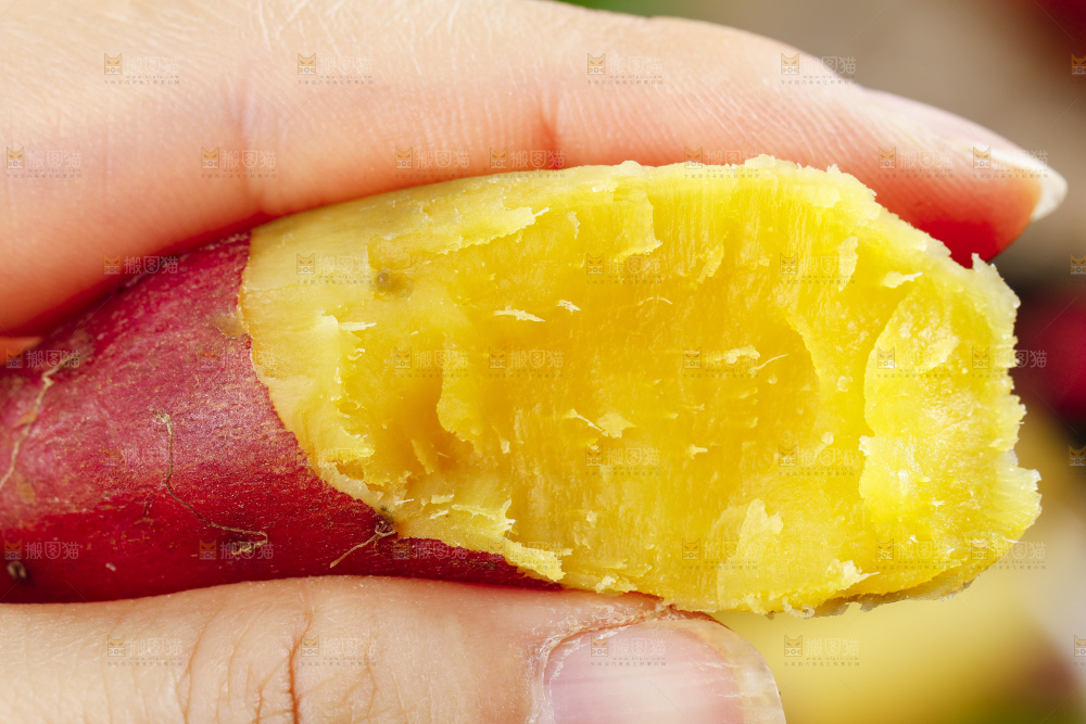 手里拿着小蜜薯