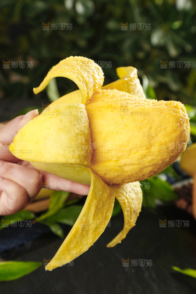 手里拿着金煌芒