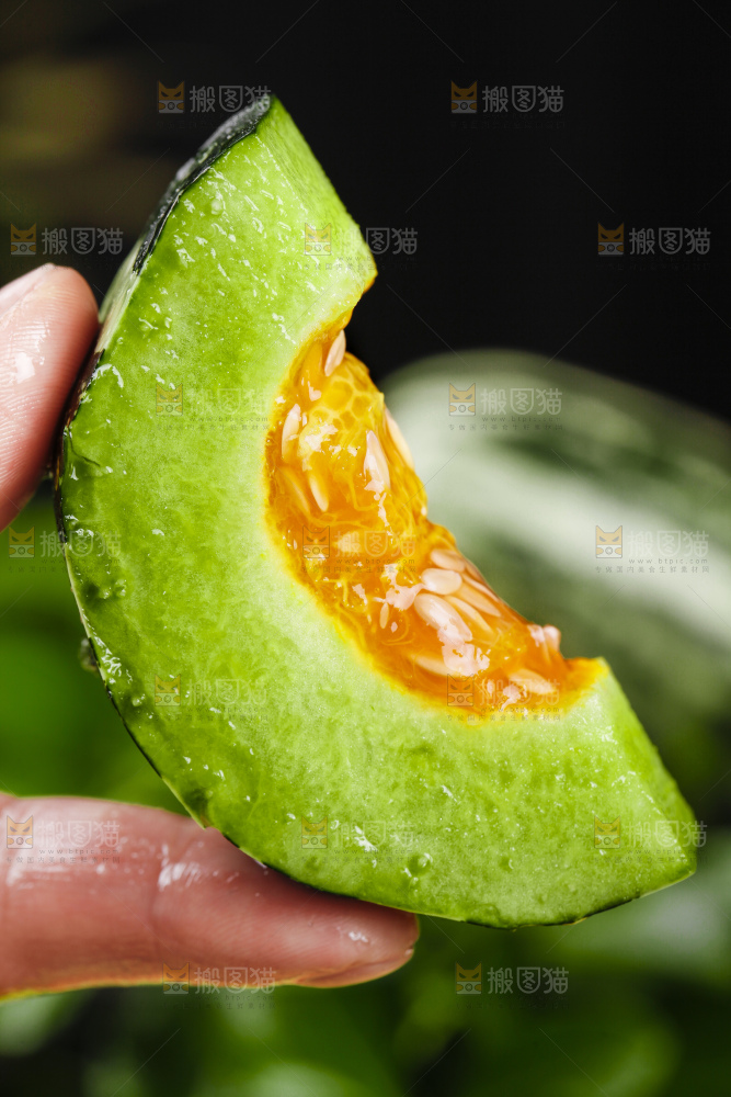 手里拿着博洋甜瓜