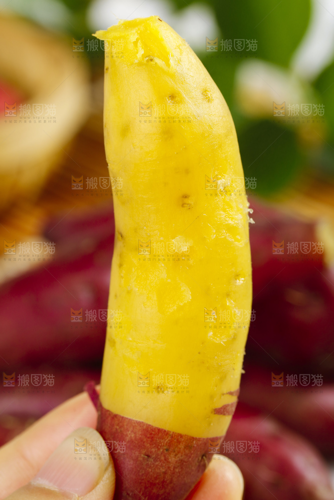 手里拿着小香薯