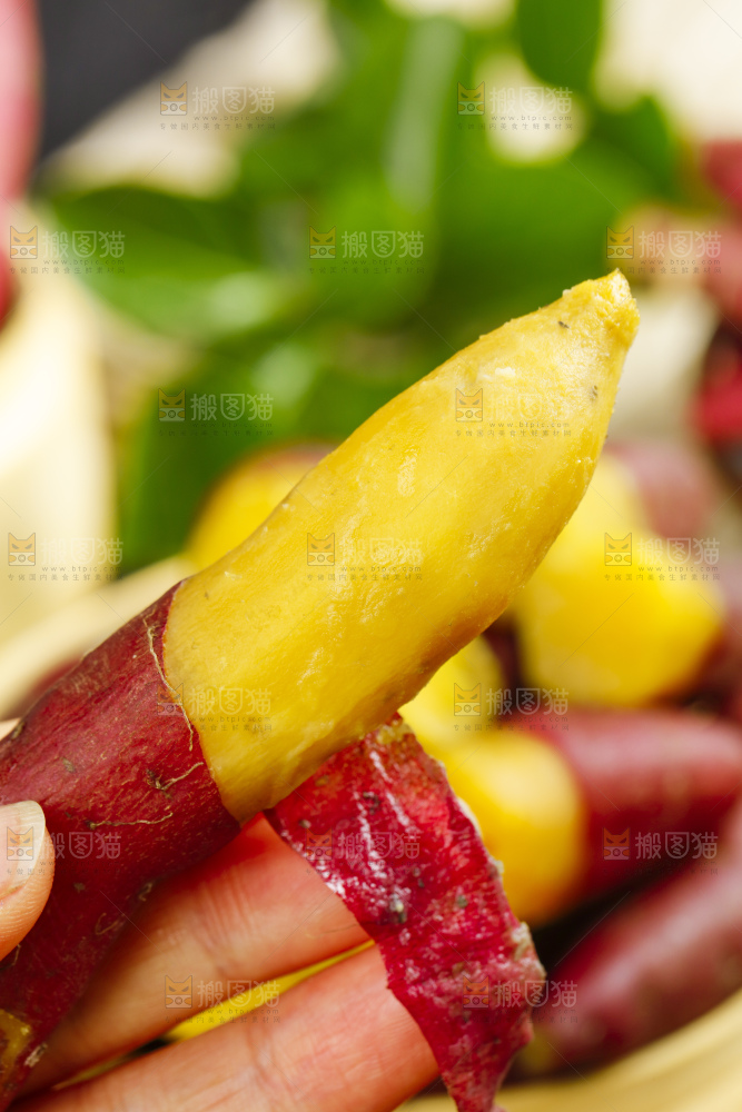 小香薯
