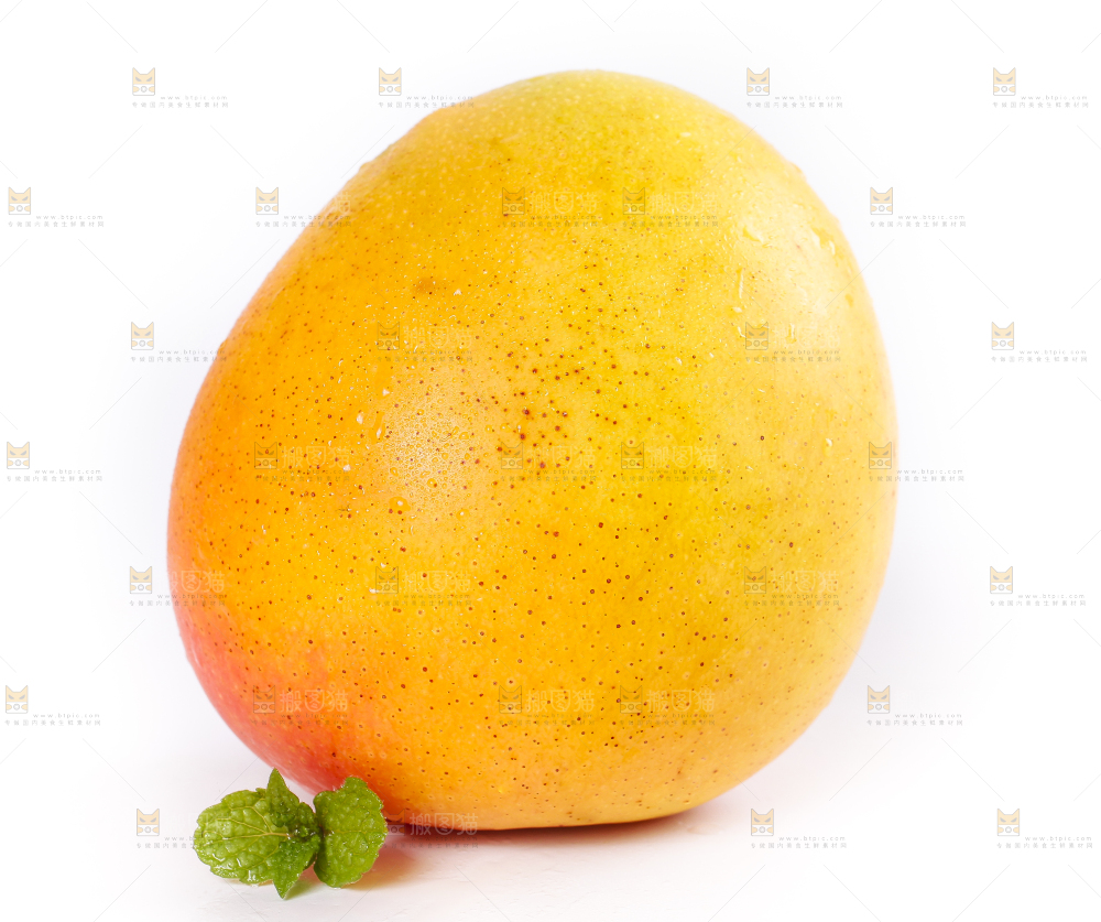 白底上摆放着澳芒